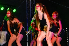 Sommerfestival T1-19