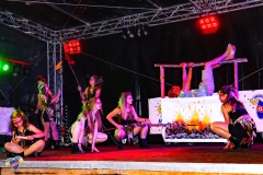 Sommerfestival T1-20