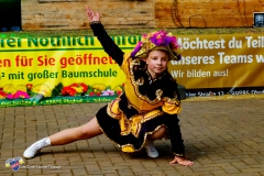 Sommerfestival T2-18