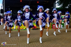 Sommerfestival T2-50