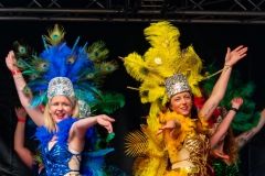 Sommerfestival T1-25