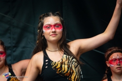 Sommerfestival T1-65