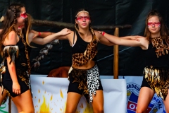 Sommerfestival T1-67