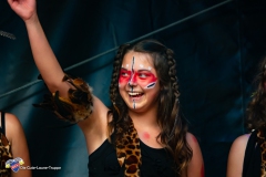 Sommerfestival T1-74