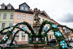 Winteraustreiben-1-von-129