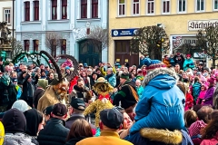 Winteraustreiben-13-von-24