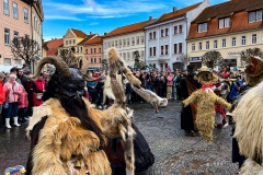 Winteraustreiben-16-von-24