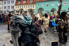 Winteraustreiben-17-von-24