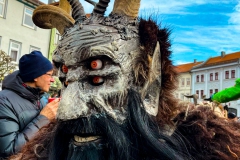 Winteraustreiben-19-von-24