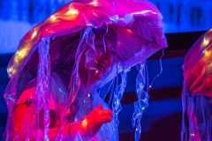 Kostuemball-2026-100-von-154