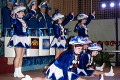 Großer Kostümball 2020 (4/ 166)