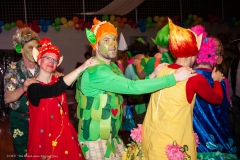 Großer Kostümball 2020 (14/ 166)