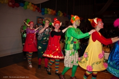 Großer Kostümball 2020 (47/ 166)