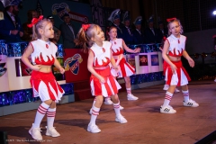 Großer Kostümball 2020 (56/ 166)