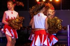 Großer Kostümball 2020 (57/ 166)