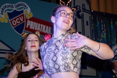 Großer Kostümball 2020 (75/ 166)