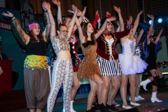 Großer Kostümball 2020 (82/ 166)