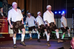 Großer Kostümball 2020 (88/ 166)